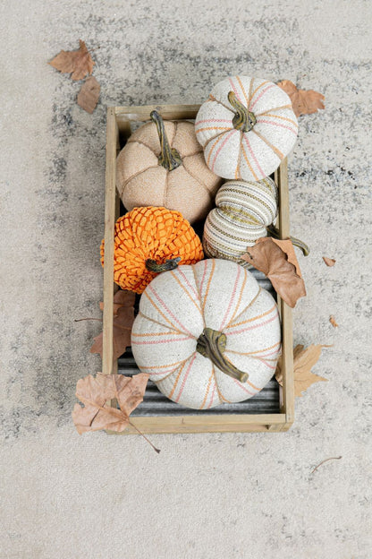 Weighted Pumpkin Ornament Decor For Holiday Harvest Festival Fall Festival & Thanksgiving (Set of 2) - Beige Multi