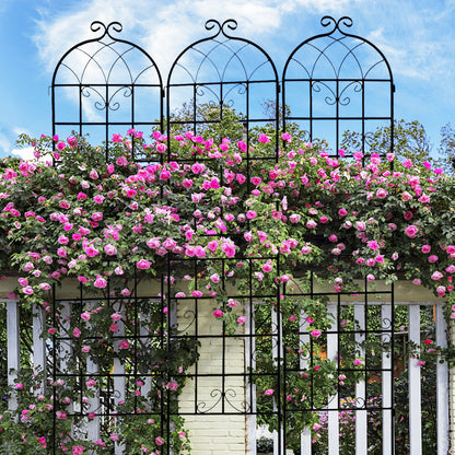 2 Pack Metal Garden Rustproof Trellis For Climbing Plants Outdoor Flower Support - Black