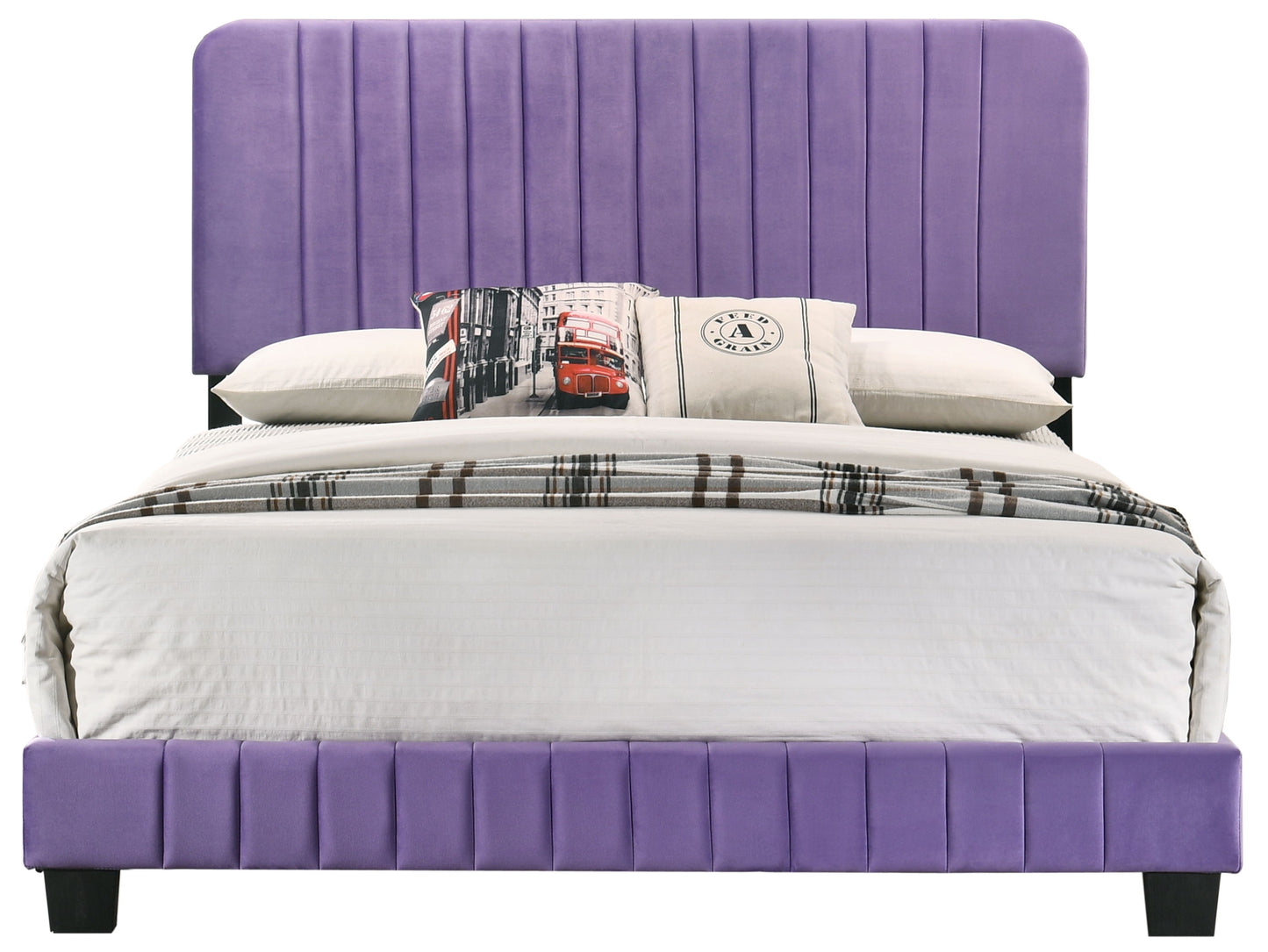 Lodi - Queen Bed - Purple