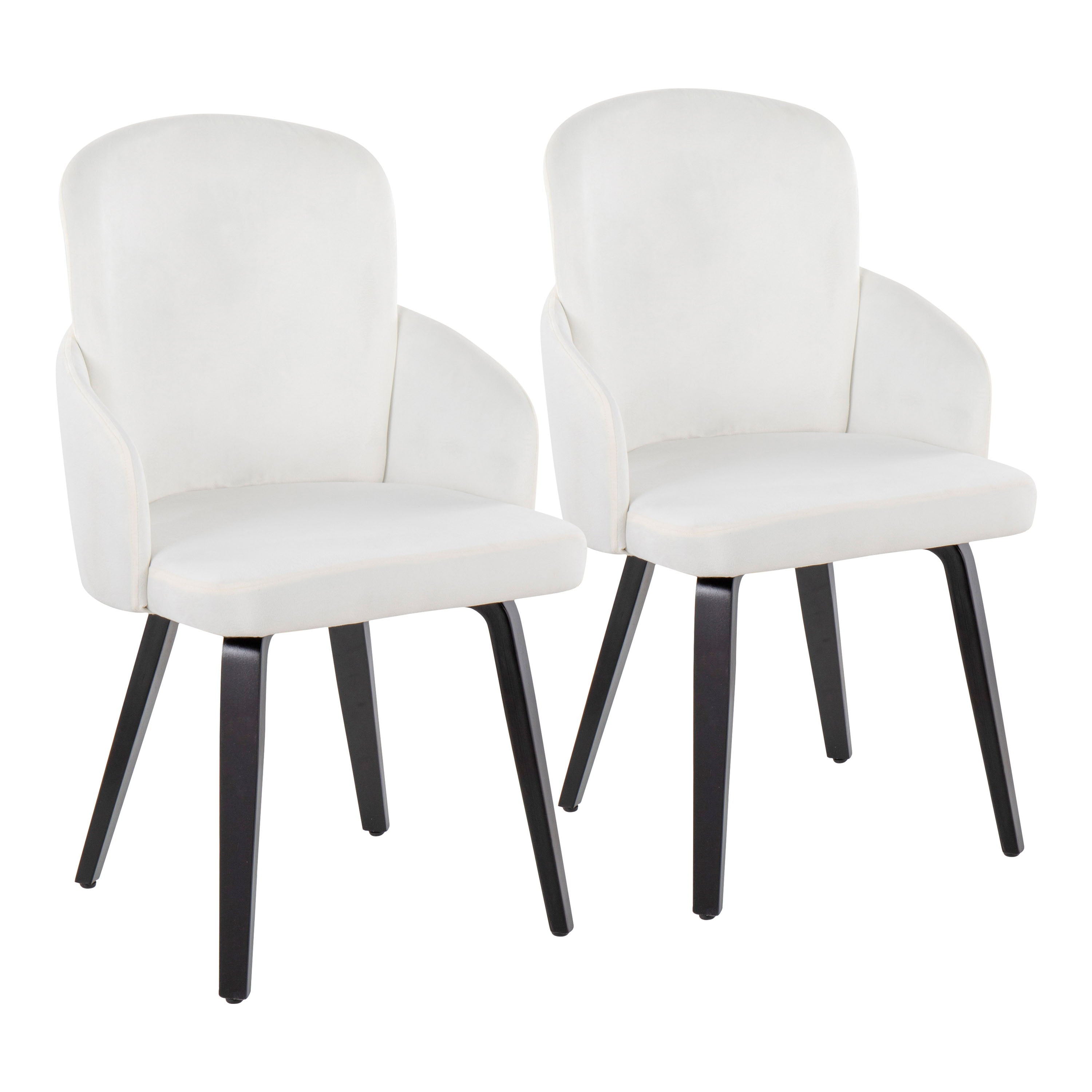 Dahlia - Contemporary Dining Chair (Set of 2) - Black / Cream - Velvet