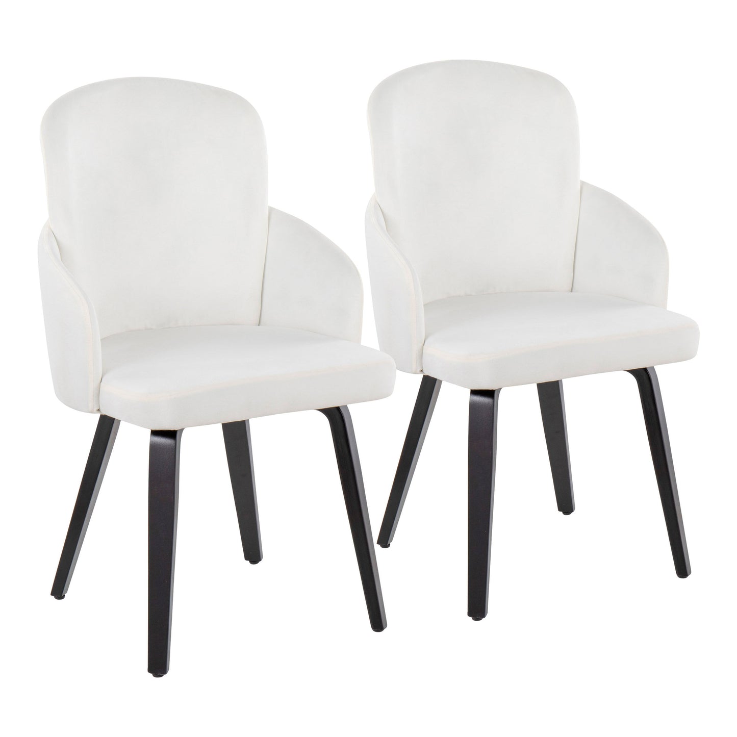 Dahlia - Contemporary Dining Chair (Set of 2) - Black / Cream - Velvet