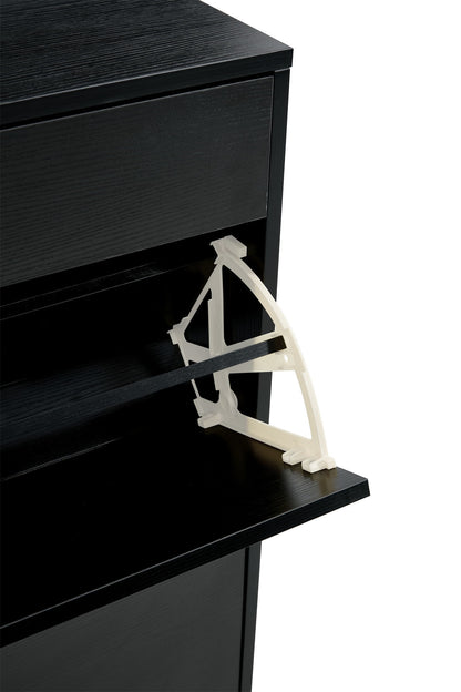 Shoe Cabinet, Shoe Storage Shelves - Black