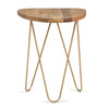 Patrice - Wood Accent Table - Natural / Gold