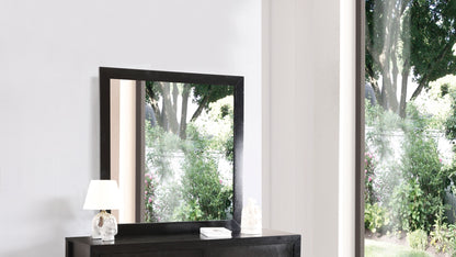 Modern Design Transitional Wall Mirror - Black