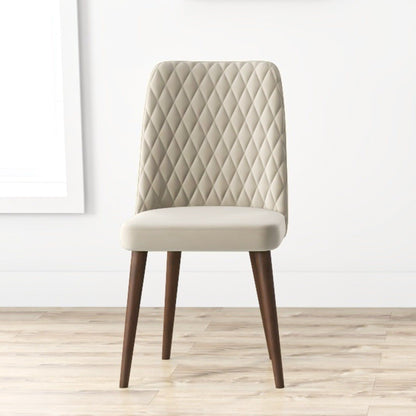 Katie - Mid-Century Modern Dining Chair (Set of 2) - Multi