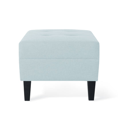Classic Ottoman With Cushioned Top - Blue