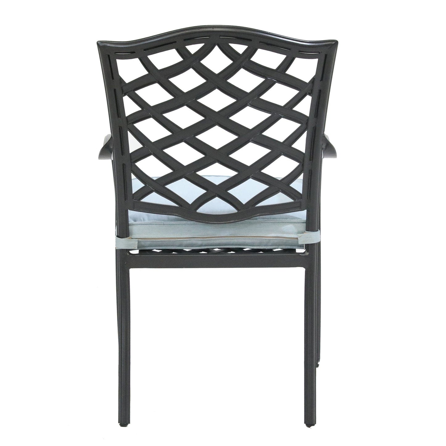 Dining Arm Chair (Set of 2) - Light Blue