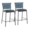 Tania - Braided Contemporary Counter Stool (Set of 2) - Black / Green / Sea Green