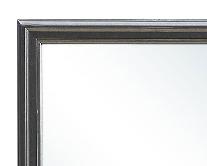 Elegant Transitional Mirror - Metalic Black