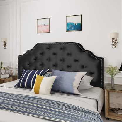 Charismatic - Queen & Full Size Headboard With Button Tufting And Nailhead Trim - Black