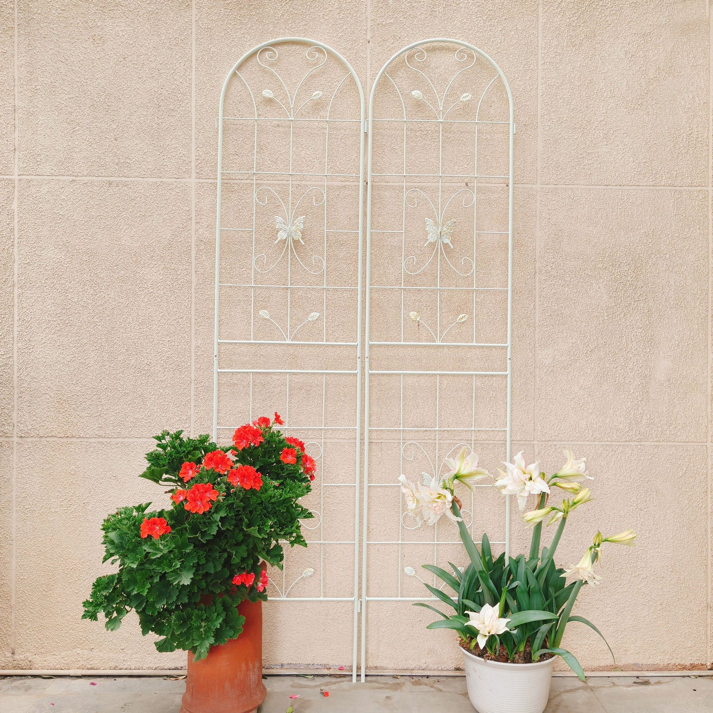2 Pack Garden Metal Trellis Rustproof Trellis For Climbing Plants Outdoor Flower Support - Cream White