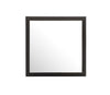 Modern Design Transitional Wall Mirror - Black