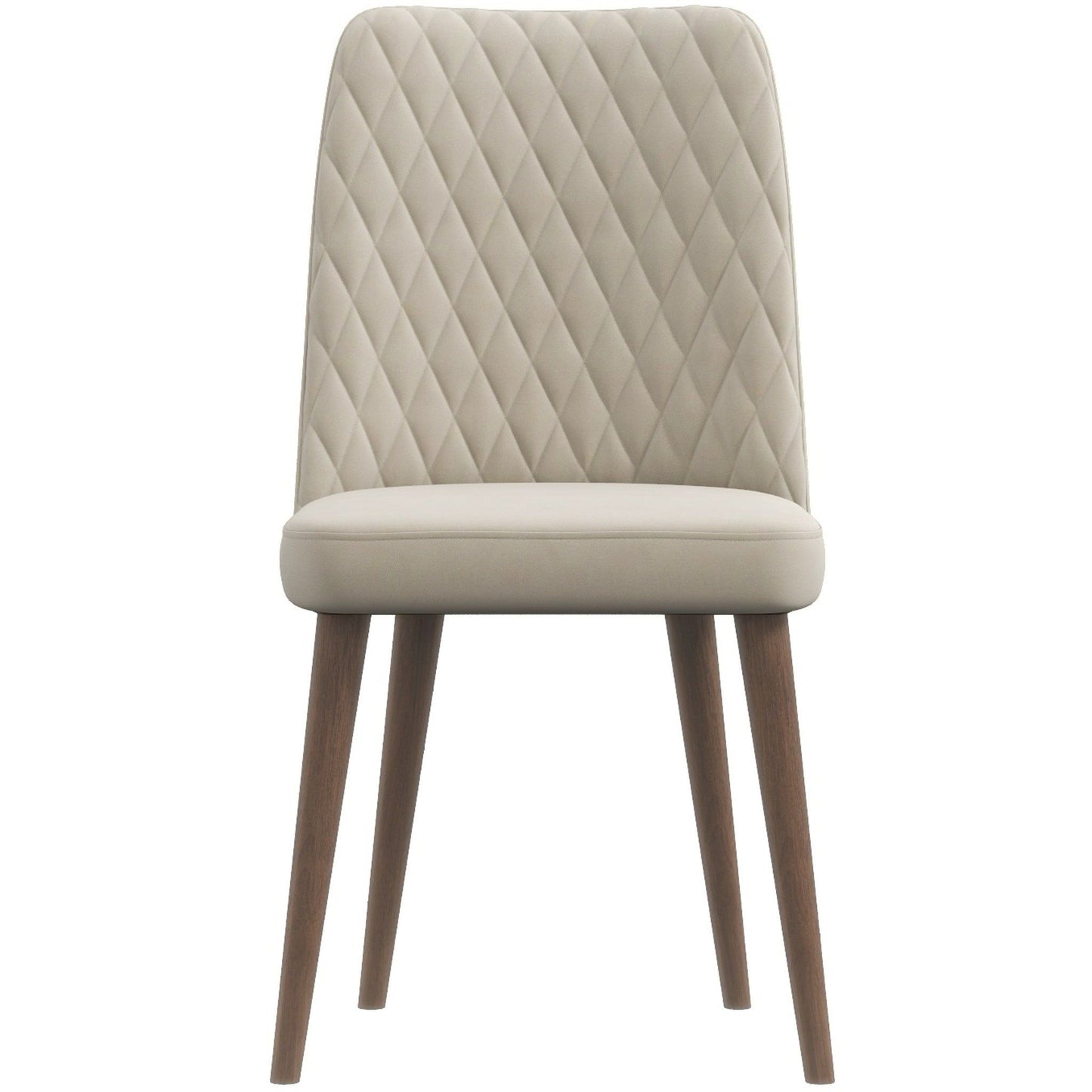 Katie - Mid-Century Modern Dining Chair (Set of 2) - Multi