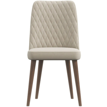 Katie - Mid-Century Modern Dining Chair (Set of 2) - Multi
