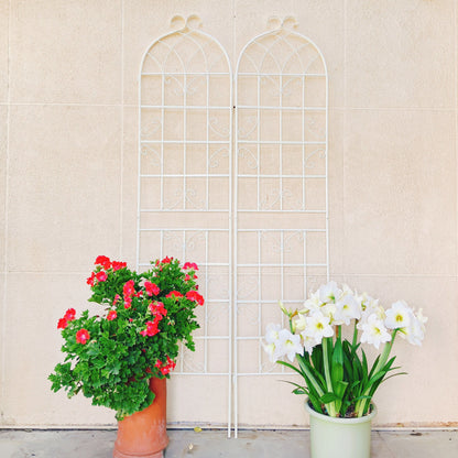 2 Pack Metal Garden Trellis Rustproof For Climbing Plant Outdoor Flower Support - Cream White