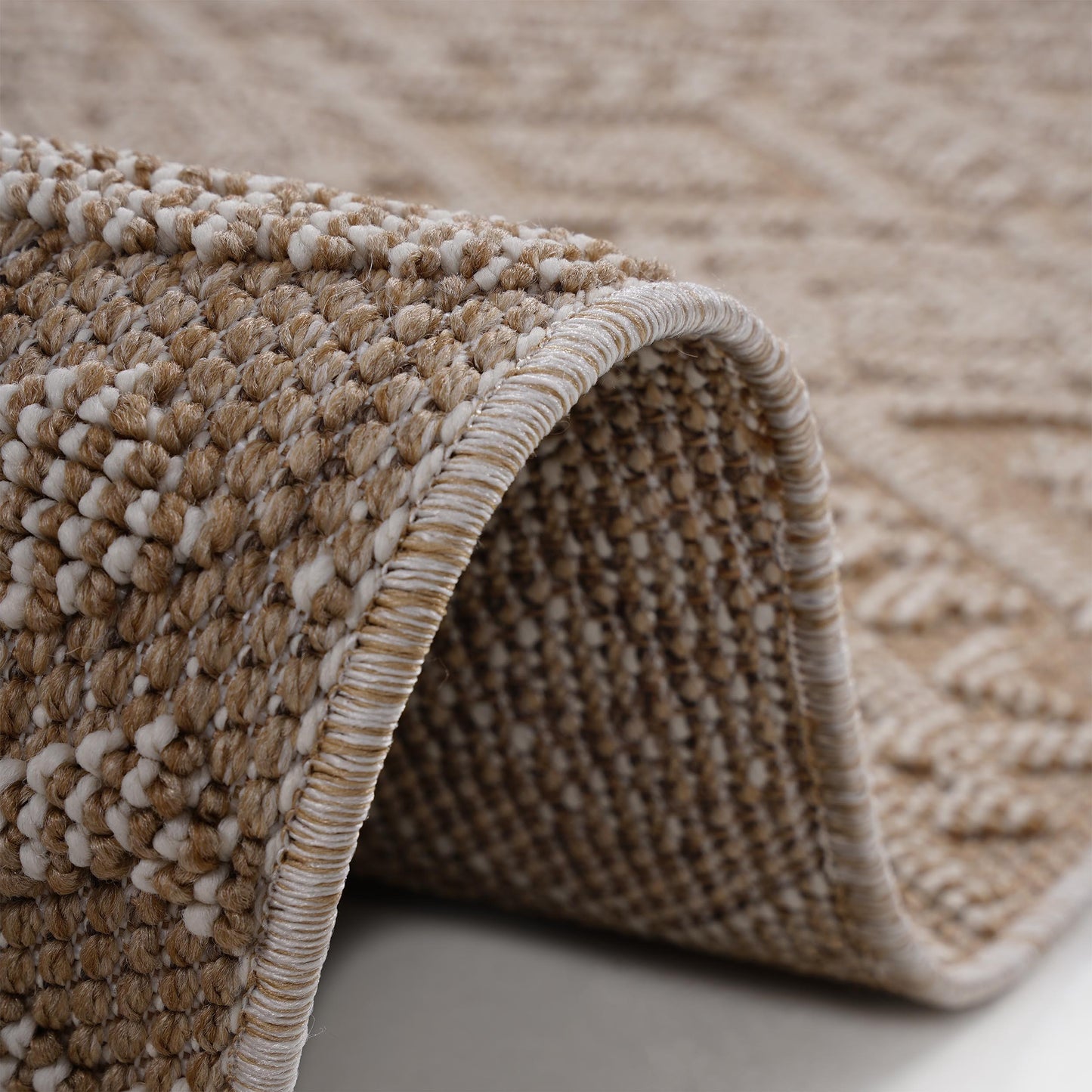 Guros - 4' X 6' Traditional Indoor / Outdoor Area Rug - Natural