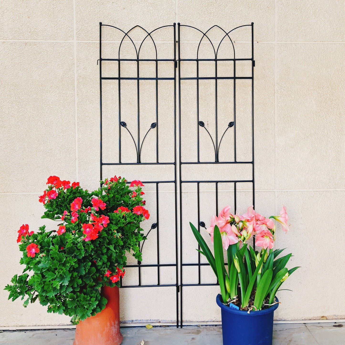 4 Pack Metal Garden Rustproof Trellis For Climbing Plants, Outdoor Flower Support - Black