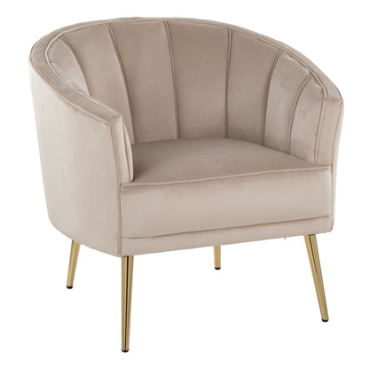 Tania - Contemporary / Glam Chair - Gold / Champagne