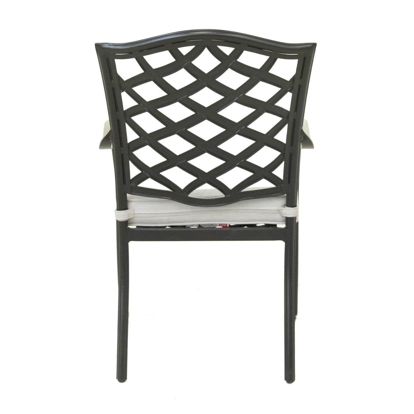 Dining Arm Chair (Set of 2) - Cast Silver
