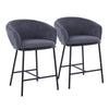 Ashland - Contemporary Counter Stool (Set of 2) - Black / Charcoal