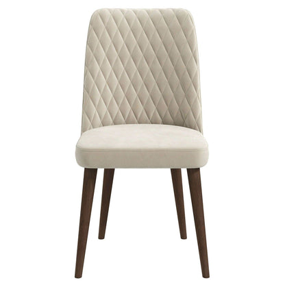 Katie - Mid-Century Modern Dining Chair (Set of 2) - Multi