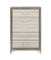 Star - Chest - White