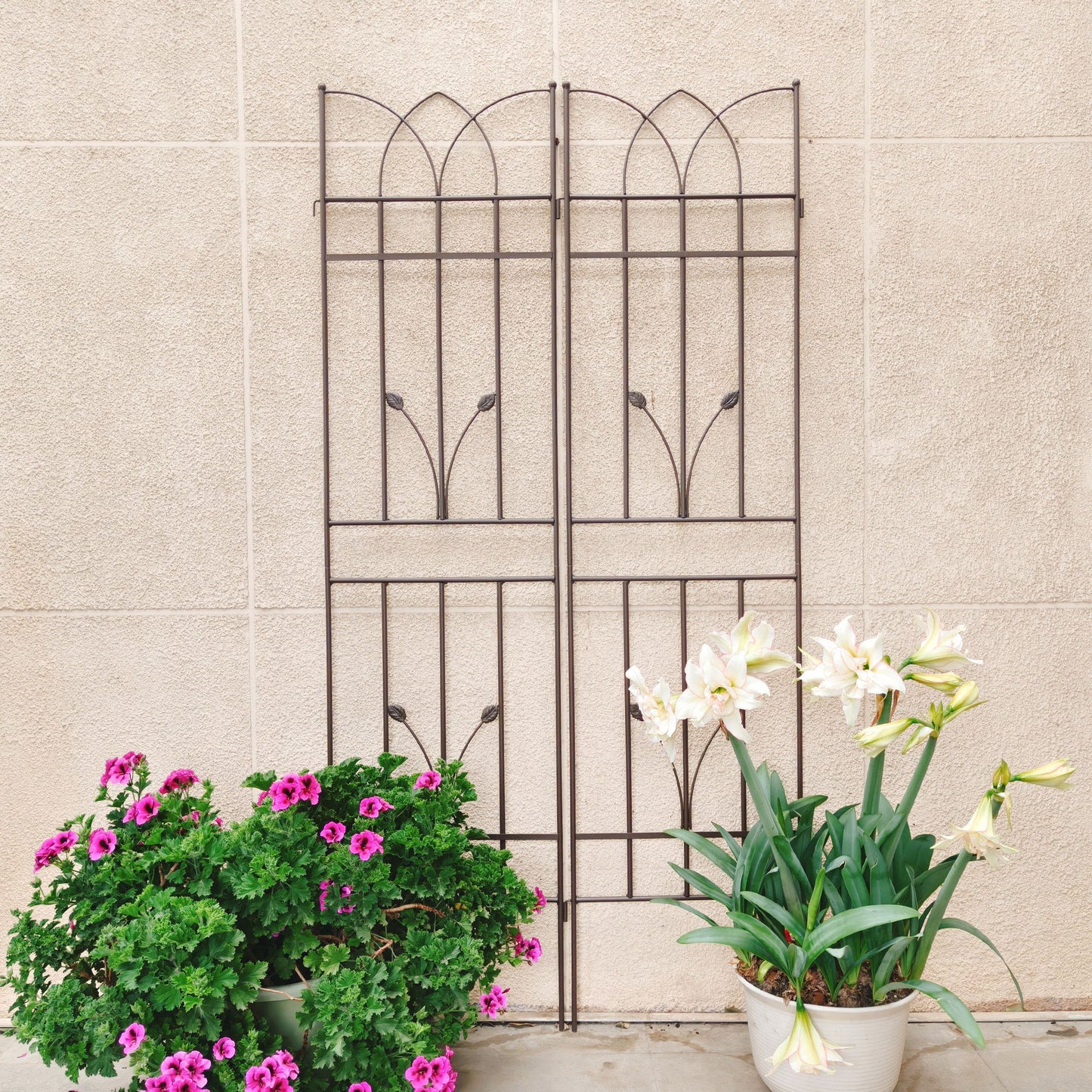 2 Pack Metal Garden Trellis Rustproof Trellis For Climbing Plants Outdoor Flower Support - Brown