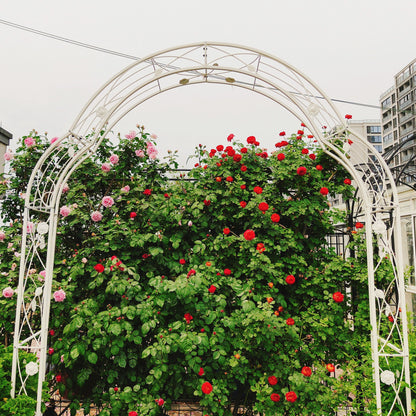 Metal Garden Arch Assemble Freely With 8 Styles Garden Arbor Trellis Climbing Plants Support Rose Arch Outdoor Arch Wedding Arch Party Events Archway - Cream White