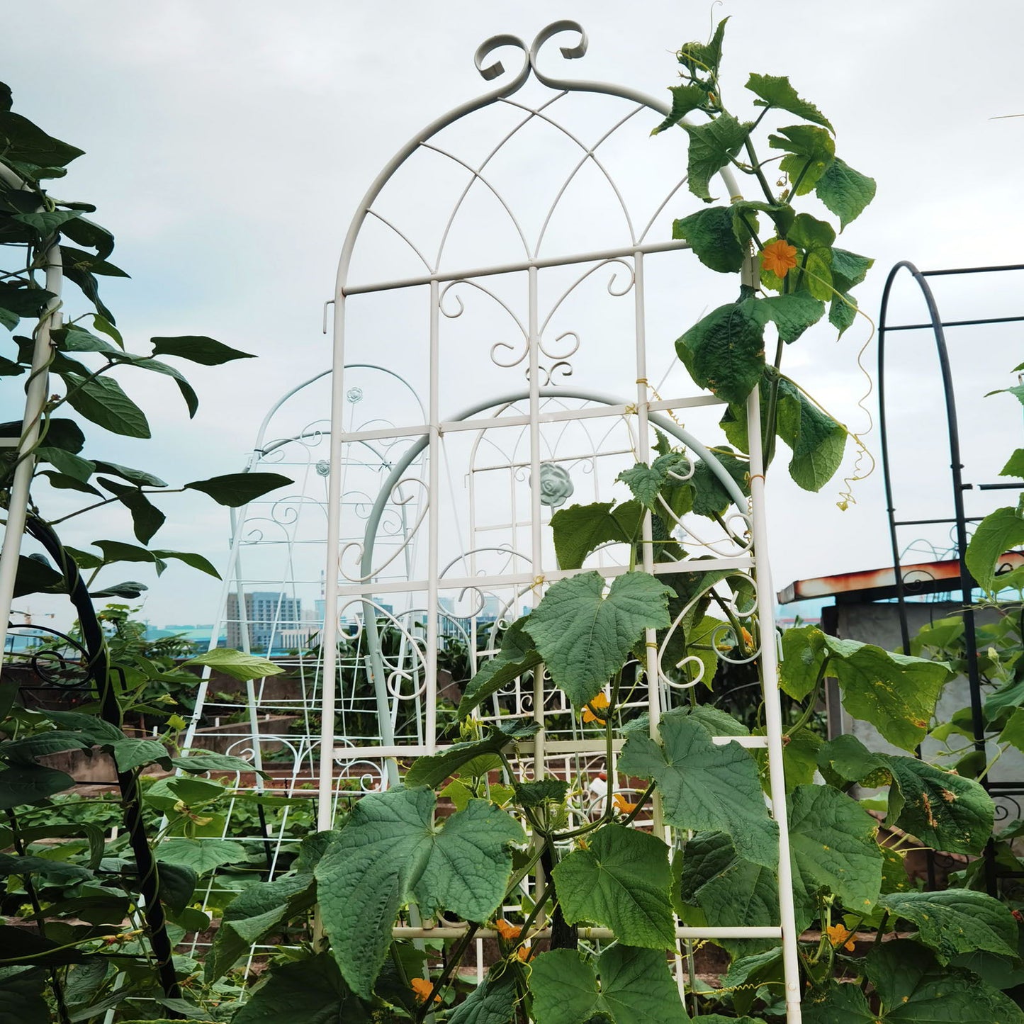 4 Pack Metal Garden Trellis Rustproof For Climbing Plants Outdoor Flower Support - Cream White