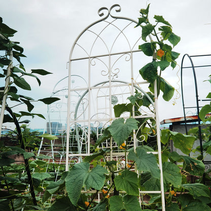 4 Pack Metal Garden Trellis Rustproof For Climbing Plants Outdoor Flower Support - Cream White