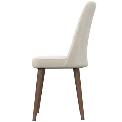 Katie - Mid-Century Modern Dining Chair (Set of 2) - Multi