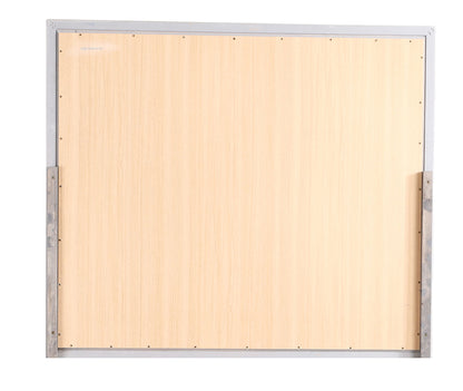 Elegant Transitional - Mirror - Silver Champagne