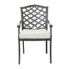 Dining Arm Chair (Set of 2) - Cast Silver