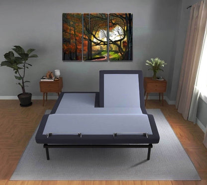 Bt3000 - Flex Head Queen Adjustable Bed Base With Head And Foot Position Adjustment - Blue / Gray