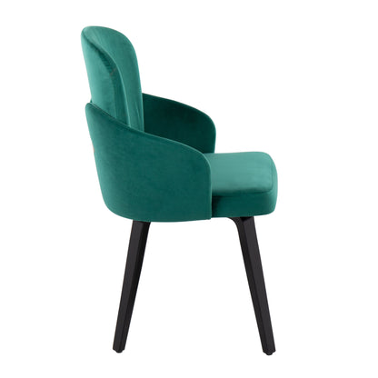 Dahlia - Contemporary Dining Chair (Set of 2) - Green / Black