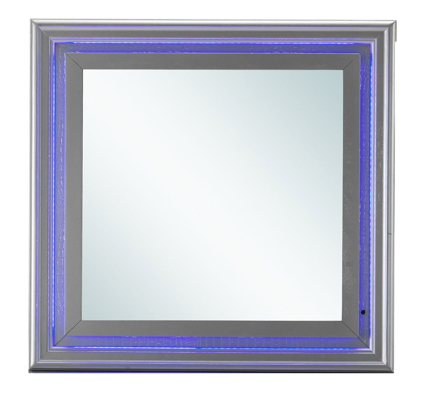 Elegant Transitional LED Accent Mirror 2 - Silver Champagne