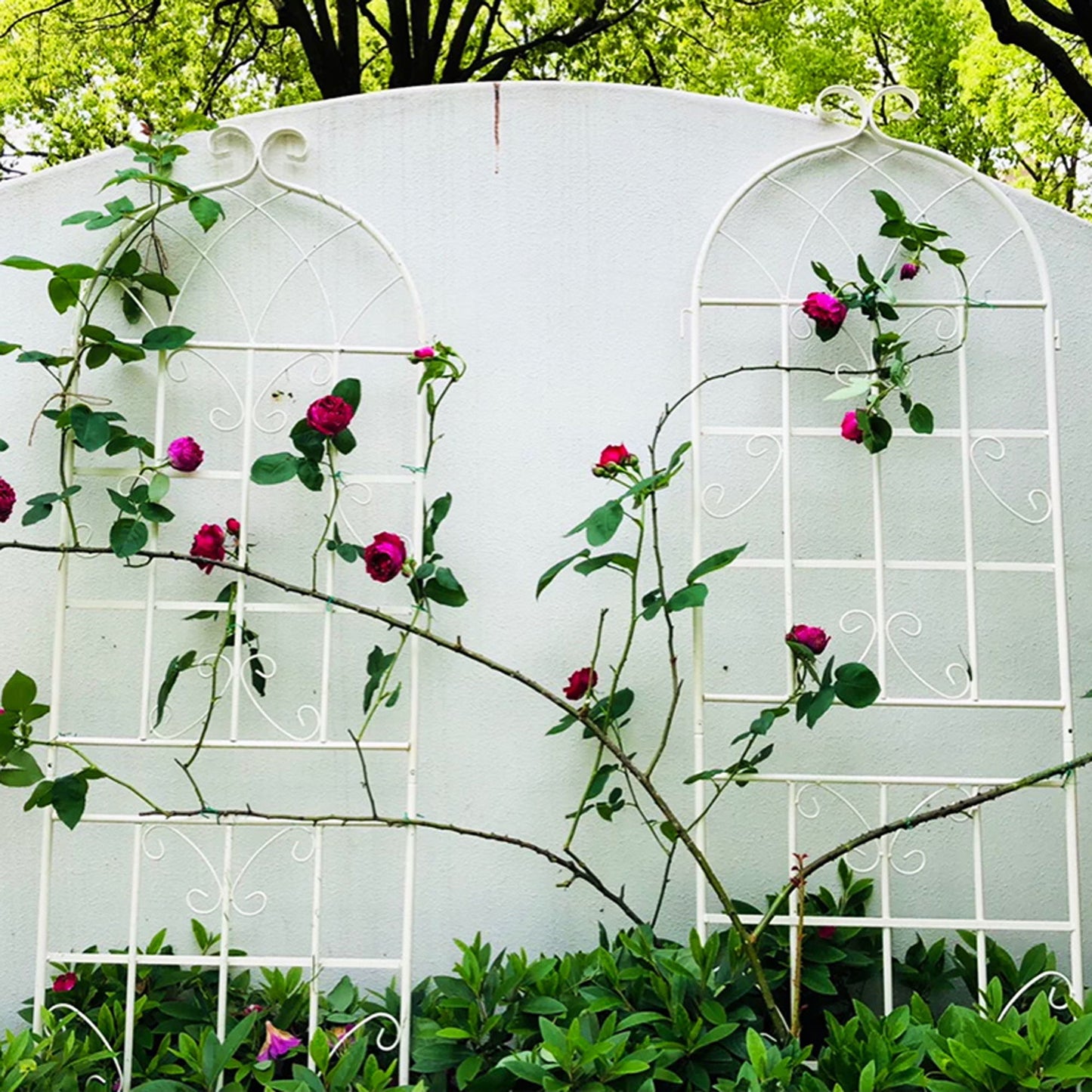 4 Pack Metal Garden Rustproof Trellis For Climbing Plants Outdoor Flower Support - Cream White