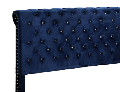 Button Tufted Upholstered Bed - Navy Blue