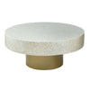 Unique Capiz Coffee Table With Pedestal Base - Multi
