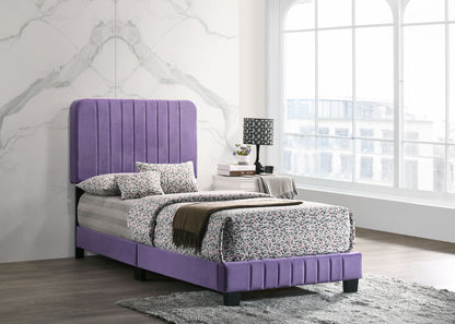 Lodi - Twin Bed - Purple