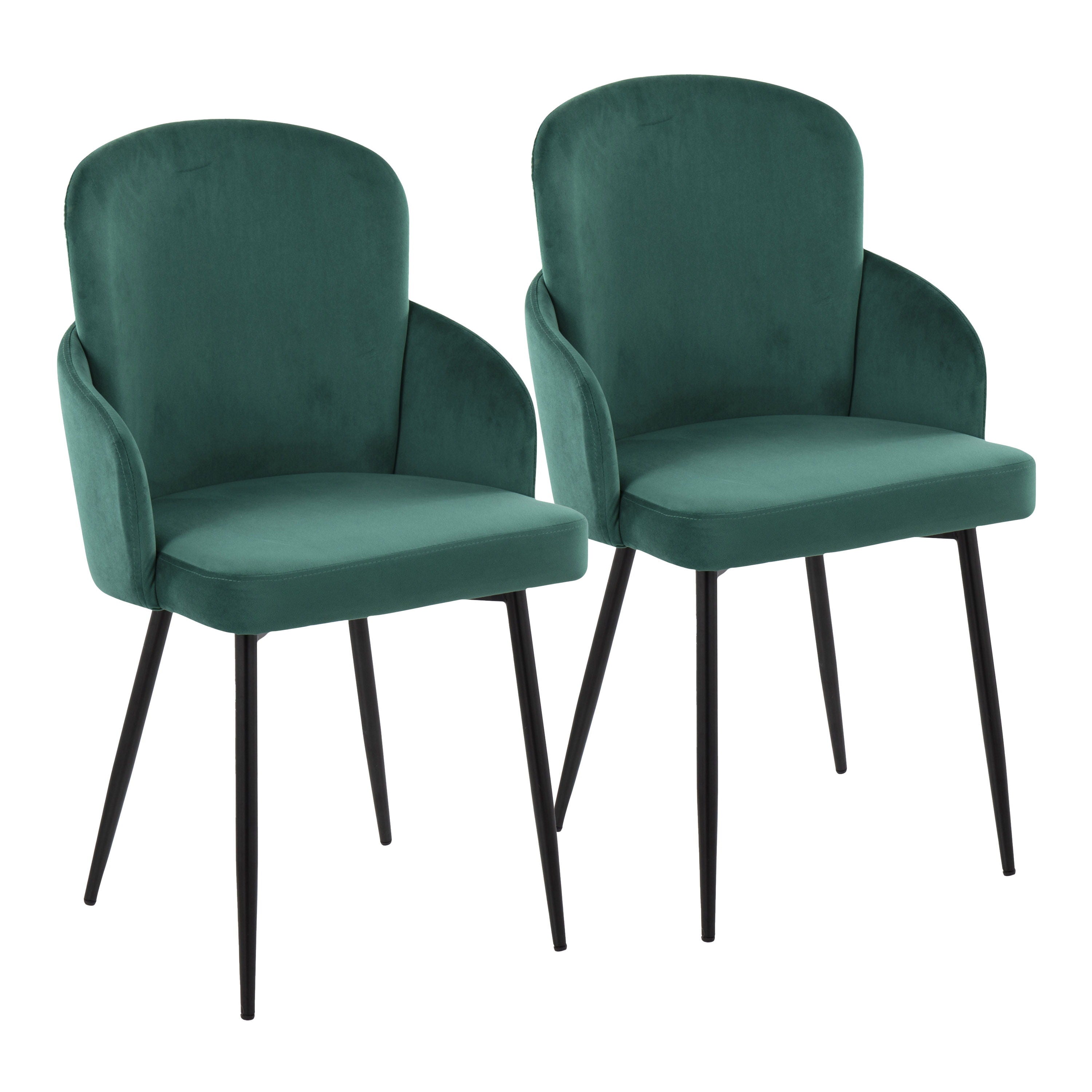 Dahlia - Contemporary Dining Chair (Set of 2) - Black / Green