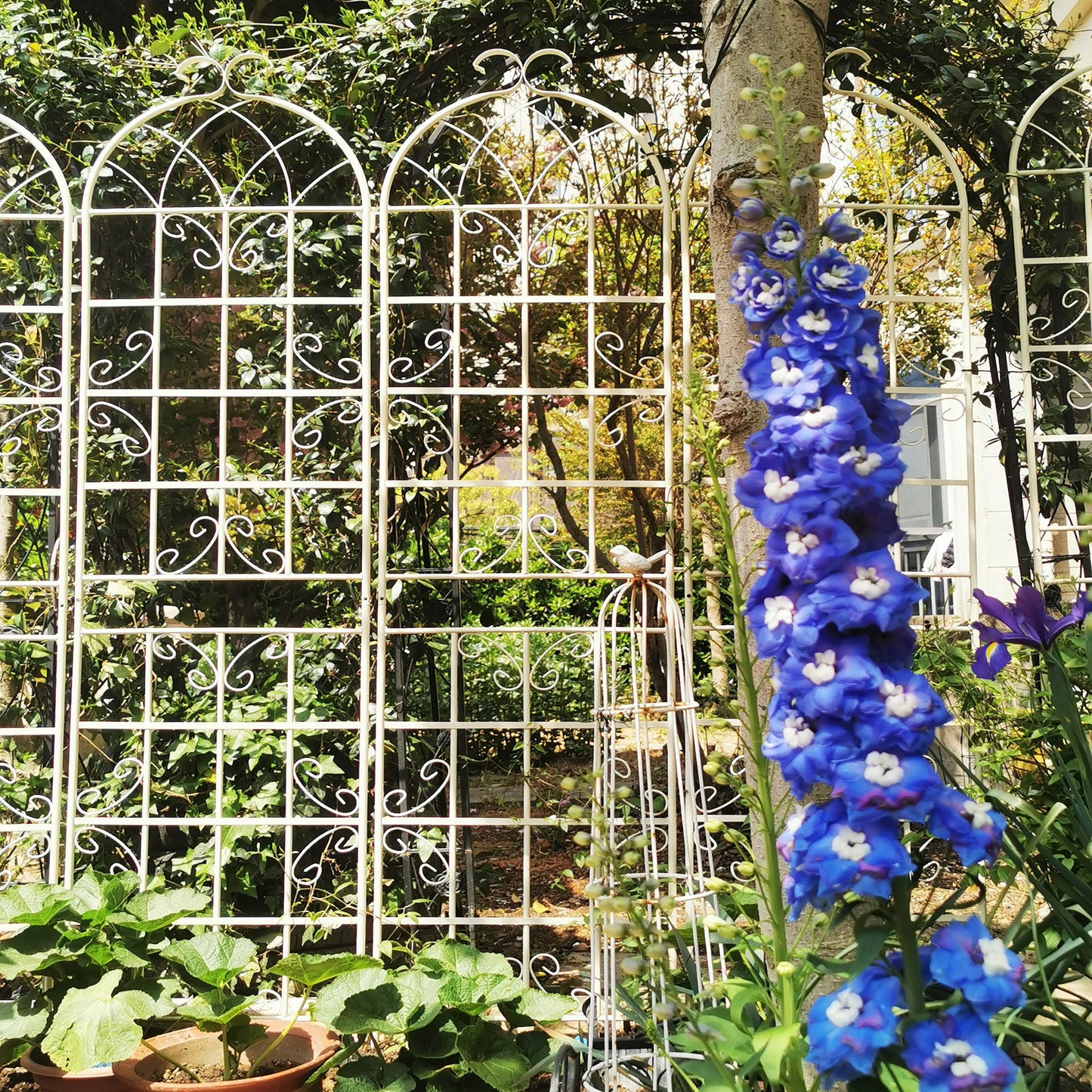 2 Pack Metal Garden Trellis Rustproof For Climbing Plant Outdoor Flower Support - Cream White